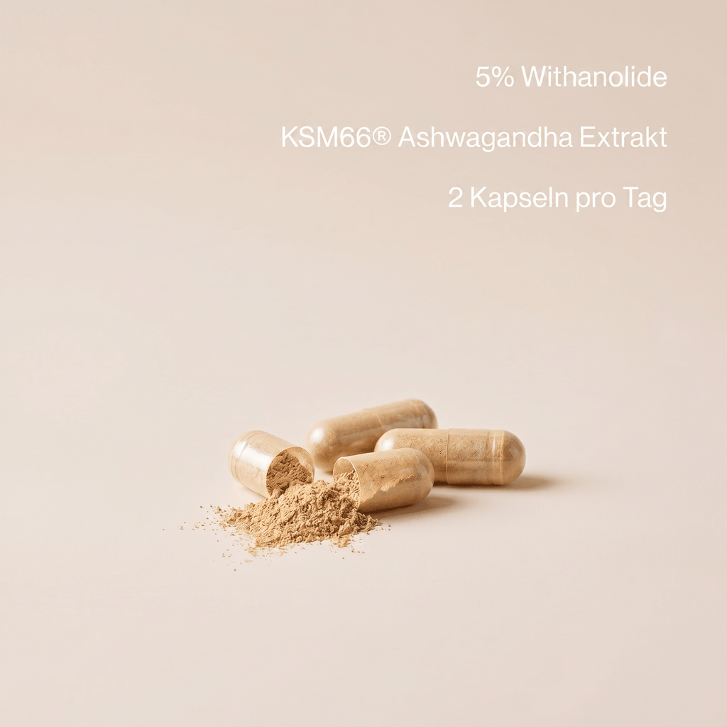 Bio Ashwagandha KSM-66 Kapseln aus indischer Schlafbeere