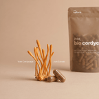 Darstellung von Cordyceps mit Extrakt-Kapseln und Produktverpackung