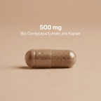 Bio-Cordyceps-Extrakt-Kapsel mit 500 mg Extrakt pro Kapsel