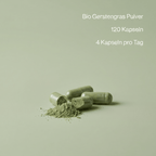 Geöffnete Gerstengras Kapseln zeigen das naturreine, grüne Pulver