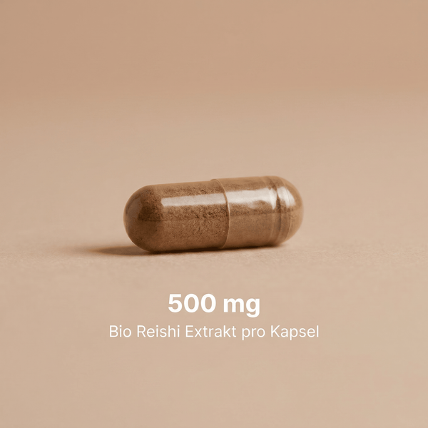 Der echte Reishi Pilz (Glänzender Lackporling) neben den Extrakt Kapseln