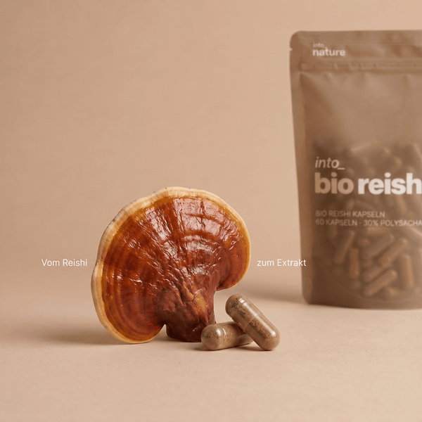 Einnahmeempfehlung: Morgens und abends je eine Bio Reishi Kapsel