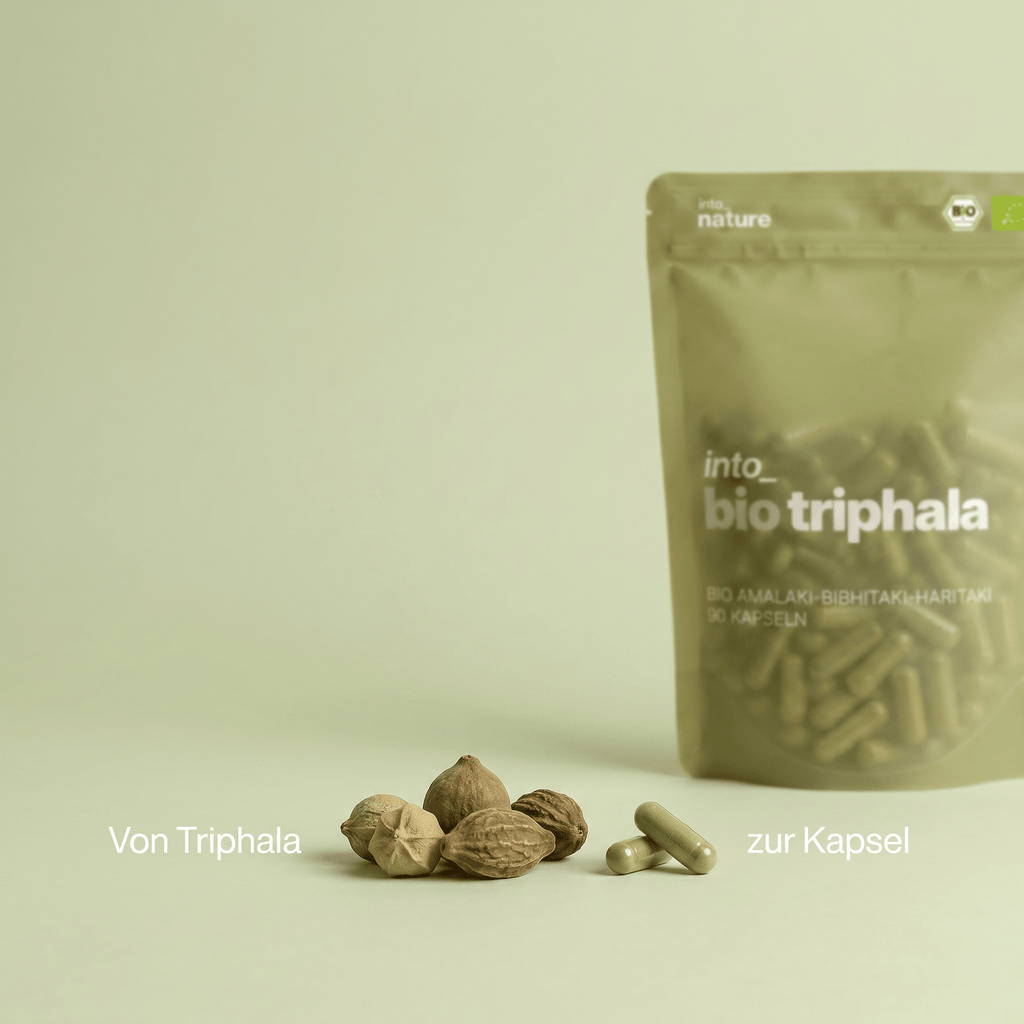Die echten drei Triphala Früchte neben den veganen Kapseln