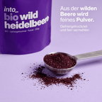 Schonend gefriergetrocknetes Bio-Wildheidelbeerpulver auf einem Löffel portioniert