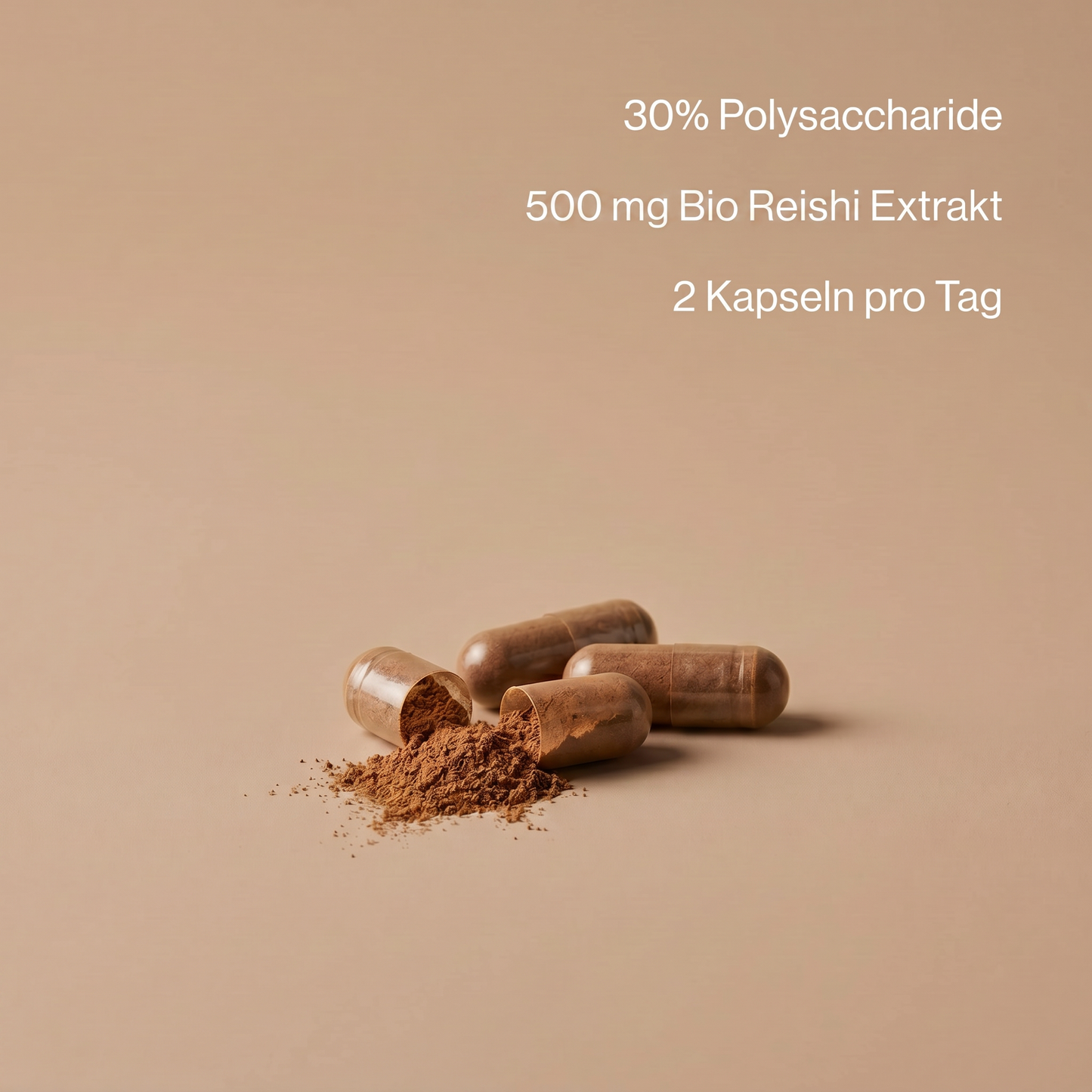 Bio Reishi Extrakt Kapseln