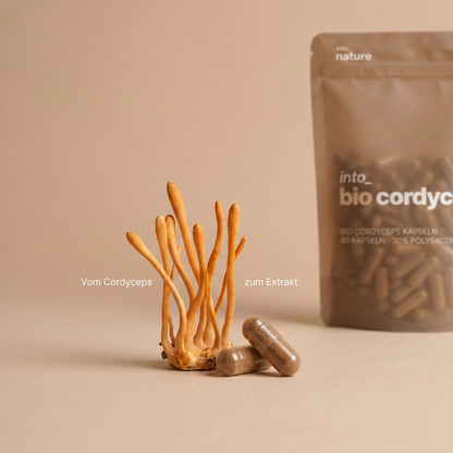 Bio Cordyceps Extrakt Kapseln