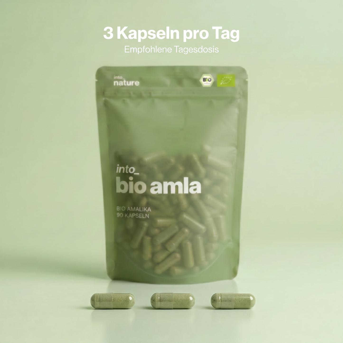 Bio Amla Pulver Kapseln