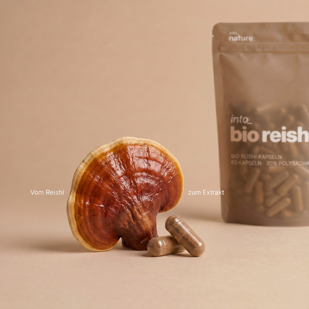 Bio Reishi Extrakt Kapseln