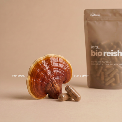 Bio Reishi Extrakt Kapseln