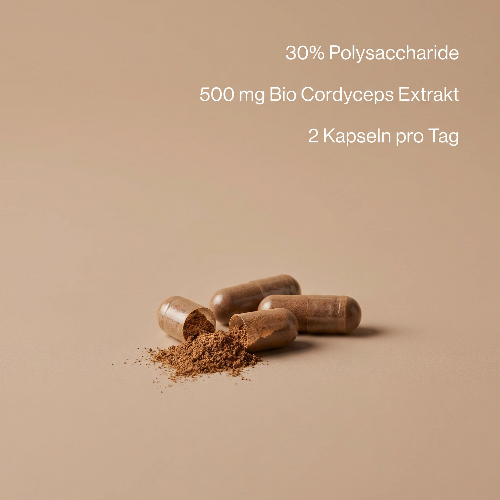 Bio Cordyceps Extrakt Kapseln