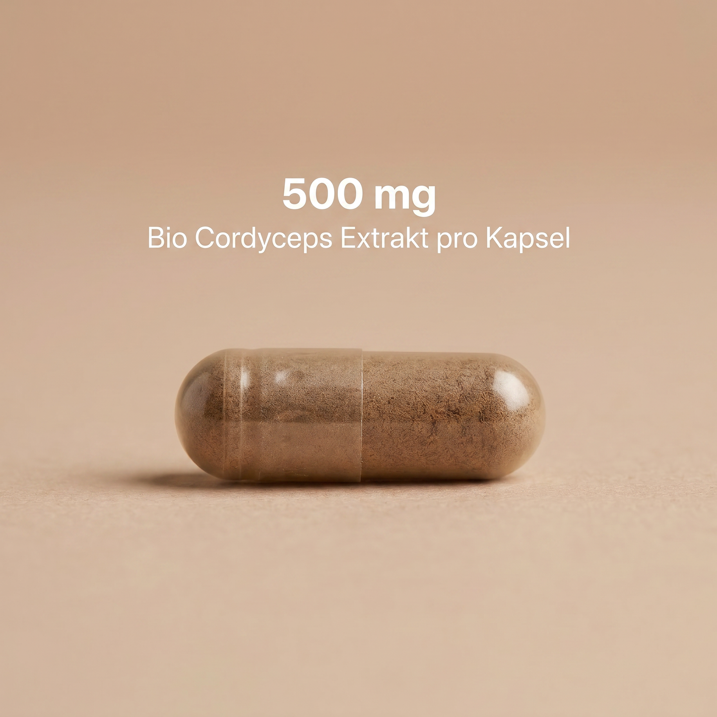 Bio Cordyceps Extrakt Kapseln