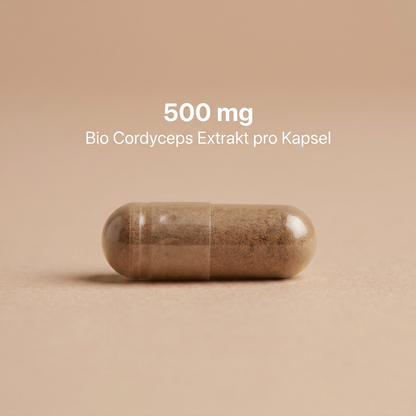 Bio Cordyceps Extrakt Kapseln